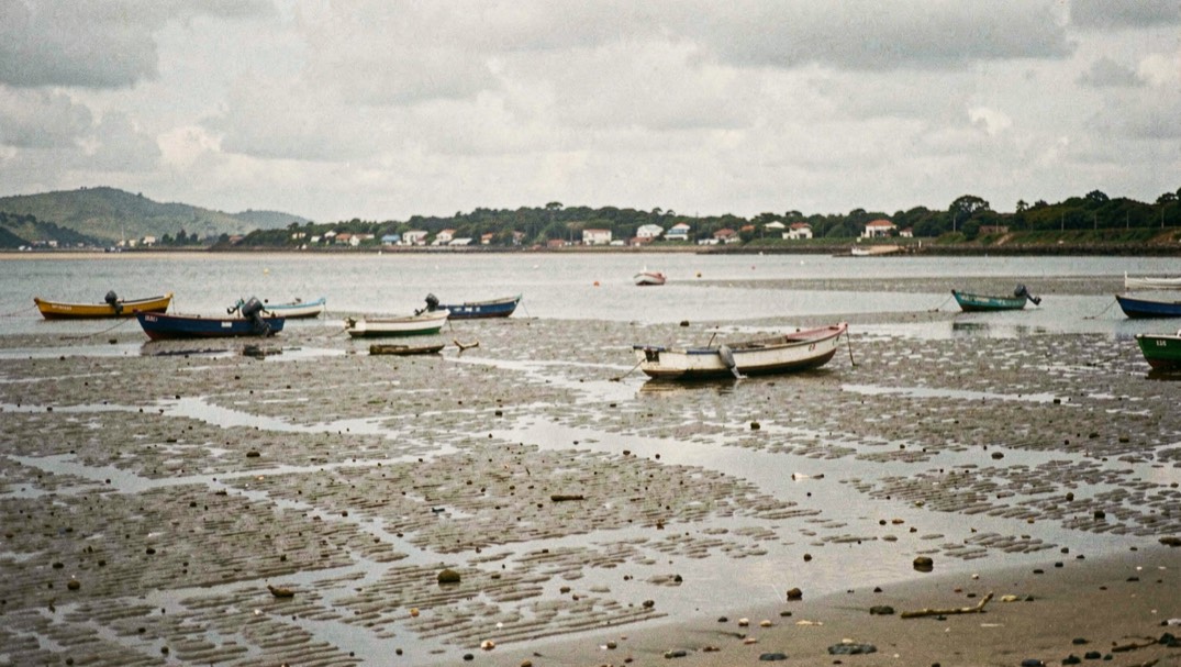 Estuario amplio con bajamar, botes sobre la arena húmeda y una línea de costa al fondo